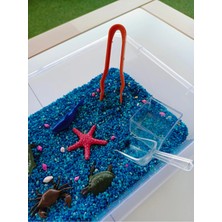 Mucit Kids Okyanus Hayvanları Temalı Duyusal Oyun Seti (2-5 Yaş) - Montessori Oyuncak