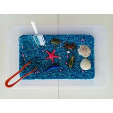 Mucit Kids Okyanus Hayvanları Temalı Duyusal Oyun Seti (2-5 Yaş) - Montessori Oyuncak