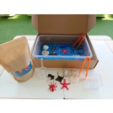 Mucit Kids Okyanus Hayvanları Temalı Duyusal Oyun Seti (2-5 Yaş) - Montessori Oyuncak