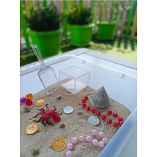 Mucit Kids Define Avı Temalı Duyusal Oyun Seti (2-5 Yaş) - Montessori Oyuncak