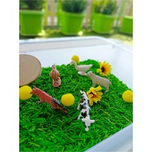Mucit Kids Çiftlik Hayvanları Temalı Duyusal Oyun Seti (2-5 Yaş) - Montessori Oyuncak