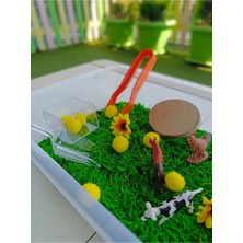 Mucit Kids Çiftlik Hayvanları Temalı Duyusal Oyun Seti (2-5 Yaş) - Montessori Oyuncak