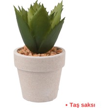 Dekoratif Agave Bovicornuta Yapay Çiçek