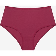 Penti 3lü Yüksek Bel Çok Renkli Slip Külot