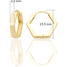 Shiny Spectra Beşgen 14 Ayar Altın Sade Küpe Minimalist Tasarım Sarı Renk