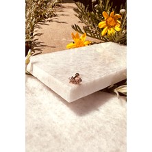 Mooni Accessories Star Sıra Yıldız Samanyolu Tasarım Zirkon Taşlı Şık Rose Gold Renk Çelik Piercing Tragus Helix