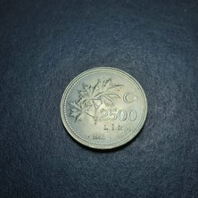 Escoines Koleksiyon 2500 Lira 1993 - Nadir Çıkar Çil Eski Madeni Para - 399636702348EC3EDD