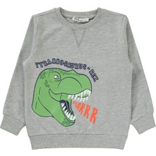 Civil Boys Erkek Çocuk Sweatshirt 2-5 Yaş Grimelanj