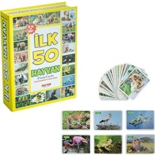 1+Yaş İçin İlk 50 Aktivite Eğitim Hafıza Geliştirme Bebekler İçin İlk 50 Hayvan Seti Eğitici Kartlar 0-12 Ay

