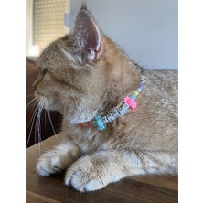 Venüs Takı ve Aksesuar Isim Yazılı Renkli Boncuklu Kedi Tasması Kedi Kolyesi Küçük Irk Köpek Tasması