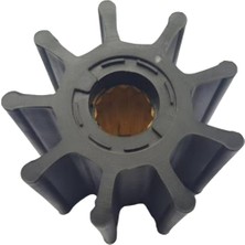 6760 Impeller Lastiği