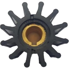 18948 Impeller Lastiği