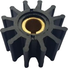 18948 Impeller Lastiği