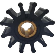 18948 Impeller Lastiği