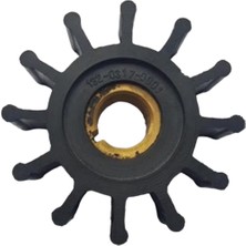 1320317 Impeller Lastiği