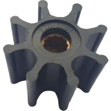 920 Impeller Lastiği