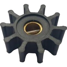 18653 Impeller Lastiği