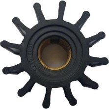 4568 Impeller Lastiği