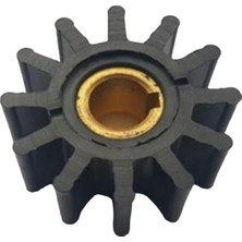 18838 Impeller Lastiği