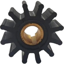 18838 Impeller Lastiği