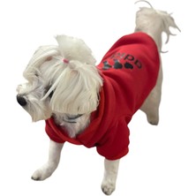 Odi Fashion Kapişonlu Polar Sweatshirt Köpek ve Kedi Kıyafeti & Elbisesi