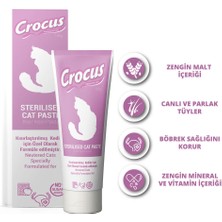 Crocus Kedi Sterilised Malt Macunu 100 gr x 2 Adet