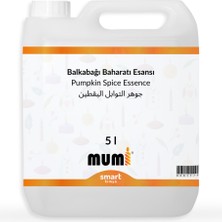 Pumpkin Spice Mum Esansı 5 Litre