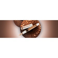 Pelikan Classic M200 Copper Rose Gold Dolma Kalem