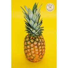 Ananas Kurusu Doğal ve Katkısız- 100 gr