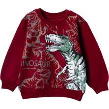 Lusana 301424 3-7 Yaş Dinazor Baskılı  Sweat