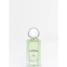 Zara Shades Of Nostalgia Edp 50 ml