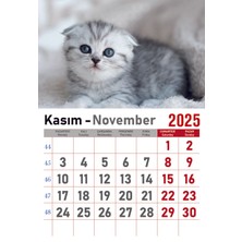 Orkide Matbaacilik Takvim - Spiralli 12 Yaprak 32X47 cm - Kuşe Kağıt Duvar Takvimi Kedi RESIMLI-2025