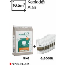 Ventrawall Isı ve Ses Yalıtımlı Sürülen Altın Mineral Taşlı Krem Duvar Kağıdı -V702-PLUS2-5KG-16,5M²