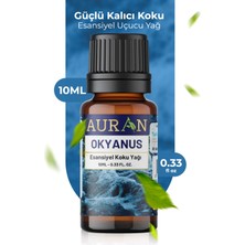 Auran Okyanus Esansiyel Uçucu Koku Yağı Buhurdanlık Yağı Difüzör Esansı Hobi Esans Ortam Oda Kokusu 10ml