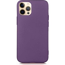 Nettech Apple iPhone 12 Pro Max Uyumlu Suide Arka Koruma Kılıf