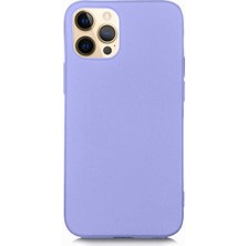 Nettech Apple iPhone 12 Pro Max Uyumlu Suide Arka Koruma Kılıf