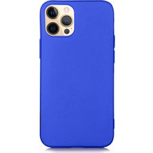 Nettech Apple iPhone 12 Pro Max Uyumlu Suide Arka Koruma Kılıf