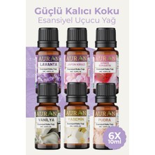 Auran Favori Set Esansiyel Uçucu Yağ Buhurdanlık Yağı Hava Nemlendirici Aroma Difüzörü Kokusu Esans 6x