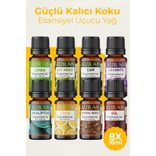 Auran Koku Alma Egzersizi Seti Özel Yoğun Kokular Esansiyel Uçucu Yağ 8x 10ml