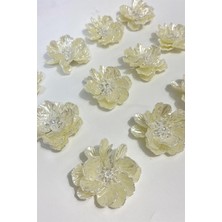 Krem Sedef Yapraklı Kristal Boncuklu Incili Broş