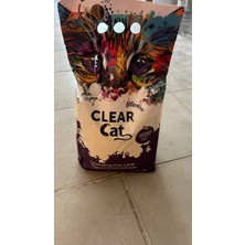 Clear Cat Kedi Kumu