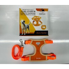 Buddy&co Köpek Tasması
