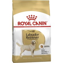 Royal Canin Labrador Retriever Yetişkin Köpek Maması 12 kg