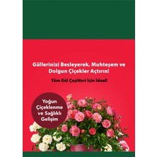 Petroturk Kullanım Hazır Gül Sıvı Bitki Besini –  Bol Çiçeklenme ve Güçlü Büyüme Sağlayın, Iç ve Dış Mekan Gülleri Için, 250ML,.