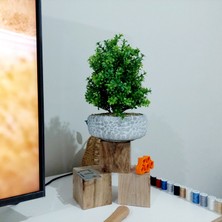 Objevi Dekoratif Çakıl Ağaç-Beyaz
