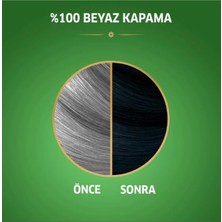 Naturals Saç Boyası Böğürtlen Siyahı 2/8 2x Paket