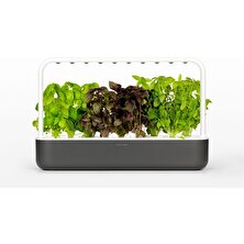 Click & Grow Akıllı Bahçe, Koyu Gri, Zahmetsiz Taze Meyve, Sebze ve Ot Yetiştirme