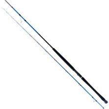 Ryuji Shore Game Fuji Kw 310 cm 60-150 gr Shore Jig Kamış