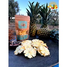 Ananas Cipsi 50GR Çıtır Cips Formundadır