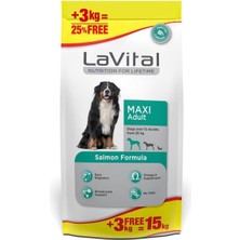 Lavital Maxi Somonlu Yetişkin Köpek Maması 15 kg